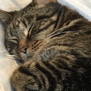 Meet your Posher, Norah